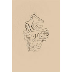 Artigiana Fiorentina Bigiotteria - Orecchino foglie plastica