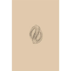 Artigiana Fiorentina Bigiotteria- Orecchini Metallo