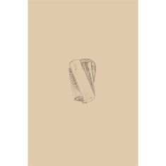 Artigiana Fiorentina Bigiotteria- Orecchini Metallo
