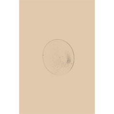 Artigiana Fiorentina Bigiotteria- Orecchini Metallo