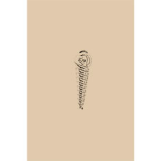 Artigiana Fiorentina Bigiotteria - Orecchino ottone dorato