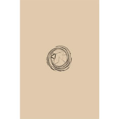 Artigiana Fiorentina Bigiotteria - Orecchino ottone dorato