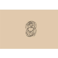 Artigiana Fiorentina Bigiotteria - Orecchino ottone dorato