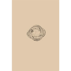 Artigiana Fiorentina Bigiotteria - Orecchino ottone dorato