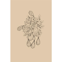 Artigiana Fiorentina Bigiotteria - Orecchino ottone dorato