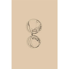 Artigiana Fiorentina Bigiotteria - Orecchino ottone dorato
