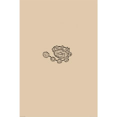 Artigiana Fiorentina Bigiotteria - Spilla strass