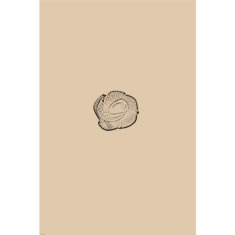 Artigiana Fiorentina Bigiotteria - Orecchino ottone