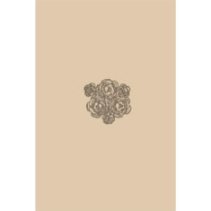 Artigiana Fiorentina Bigiotteria - Spilla