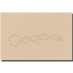 PORTA CHIAVI CHARM